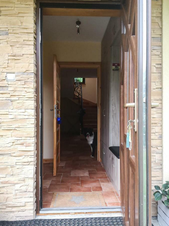 Zacisze Drwala Guest House Лутовиска Екстериор снимка