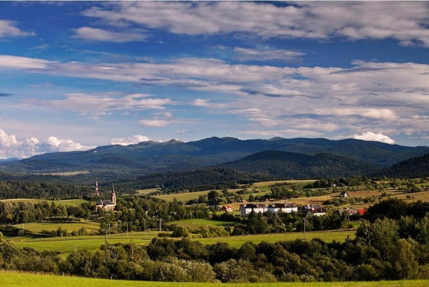 Zacisze Drwala Guest House Лутовиска Екстериор снимка